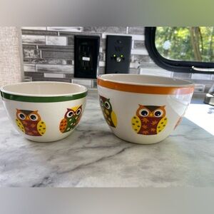 Pier1 Enchanted Woods Owls Set Of 2 Bowls. Owls Design